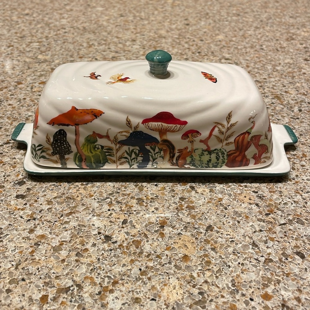 NWT Anthropologie Inslee Fariss Autumns Bounty Mushroom Stoneware Butter Dish